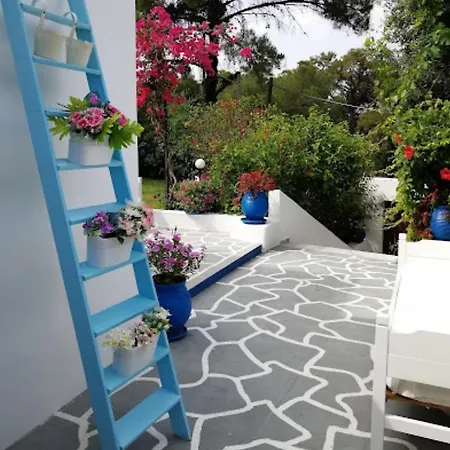 Trees Art * Ialysos (Rhodes)