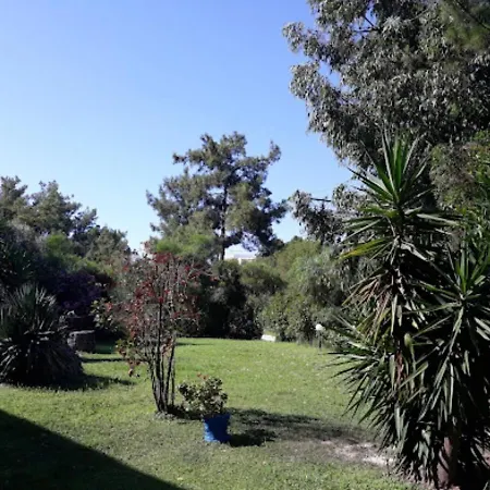 Trees Art Hotel Ialysos (Rhodes)