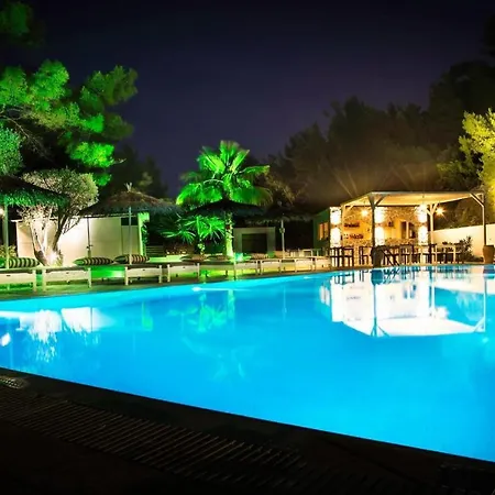 Trees Art Hotel *