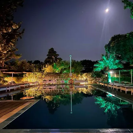 Trees Art Hotel