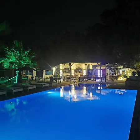 Trees Art Hotel