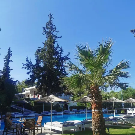 Trees Art Ialysos (Rhodes)