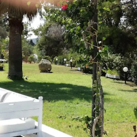 Trees Art מלון
